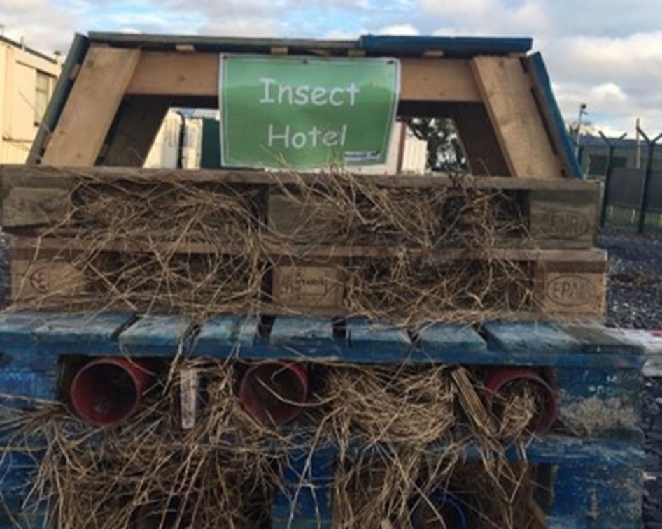 Dublín Airport insect hotel.