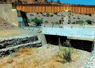 Tramo con colonización de especies vegetales arbustivas en el lecho, lo que evidencia el nulo flujo de agua. Tramo con colonización de especies vegetales arbustivas en el lecho, lo que evidencia el nulo flujo de agua.