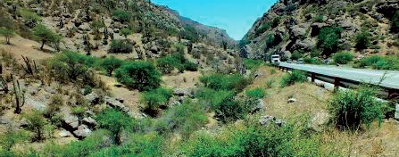 A photograph showing the landscape around Las Chilcas, the habitat of Bufo spinulosus