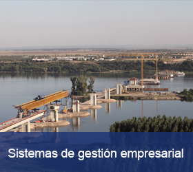 Enlace a sistemas de gestión empresarial (Se abre en nueva pestaña)