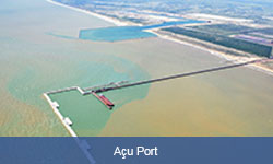 Link to Açu Port Case Study (Opens in a new tab)