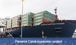 Link to Practical Case Construction of the Panama Canal Expansion (Opens in a new tab)