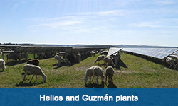 Link to Case study Helios y Guzmán Plants (Opens in new tab)
