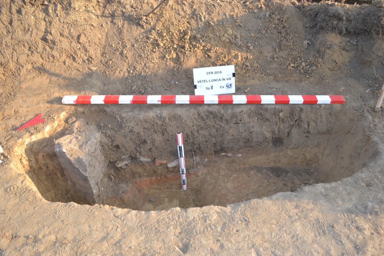 Muestra de materiales arqueológicos encontrados en la excavación.