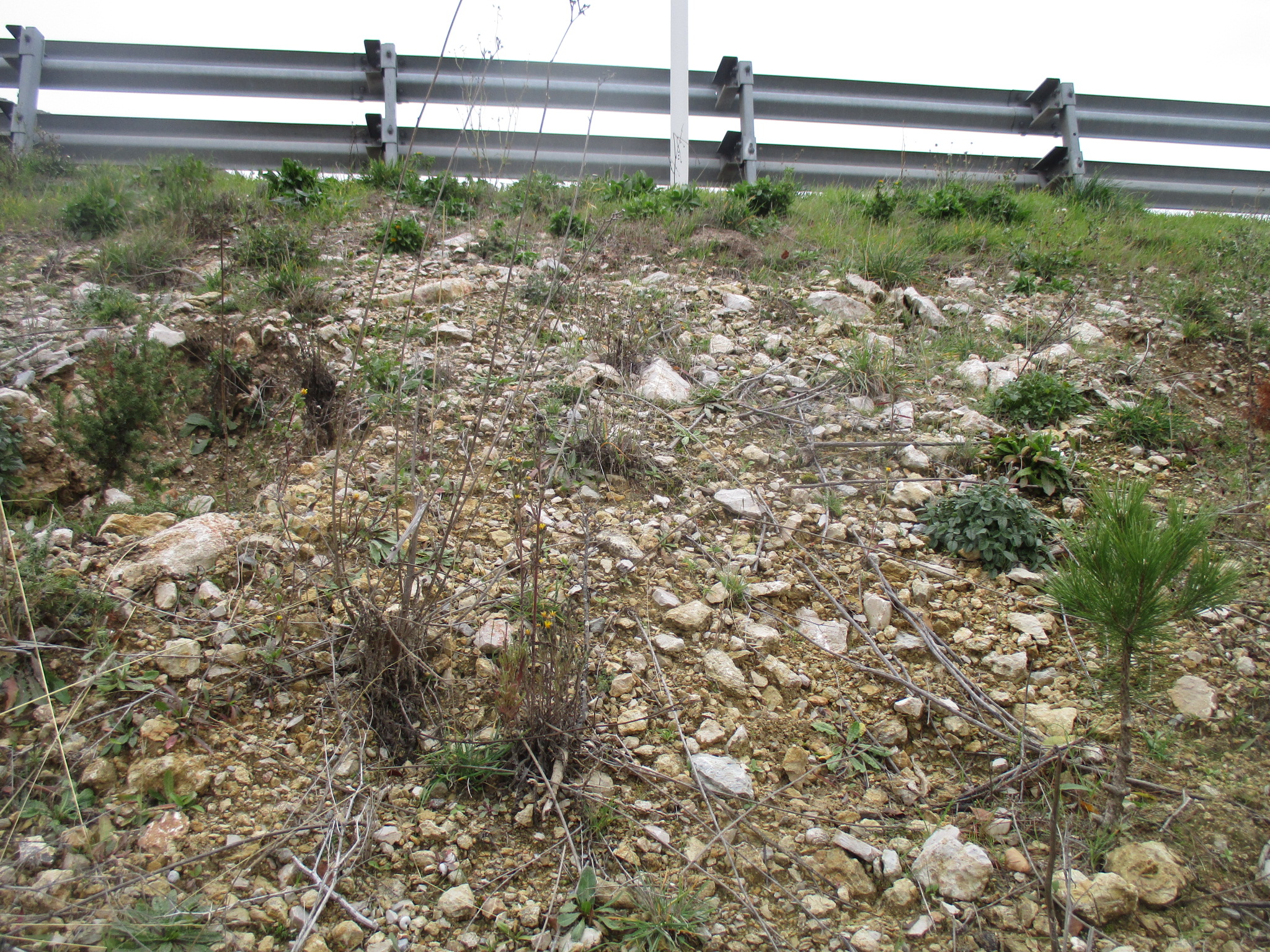 Tierra seca con pérdida de suelo