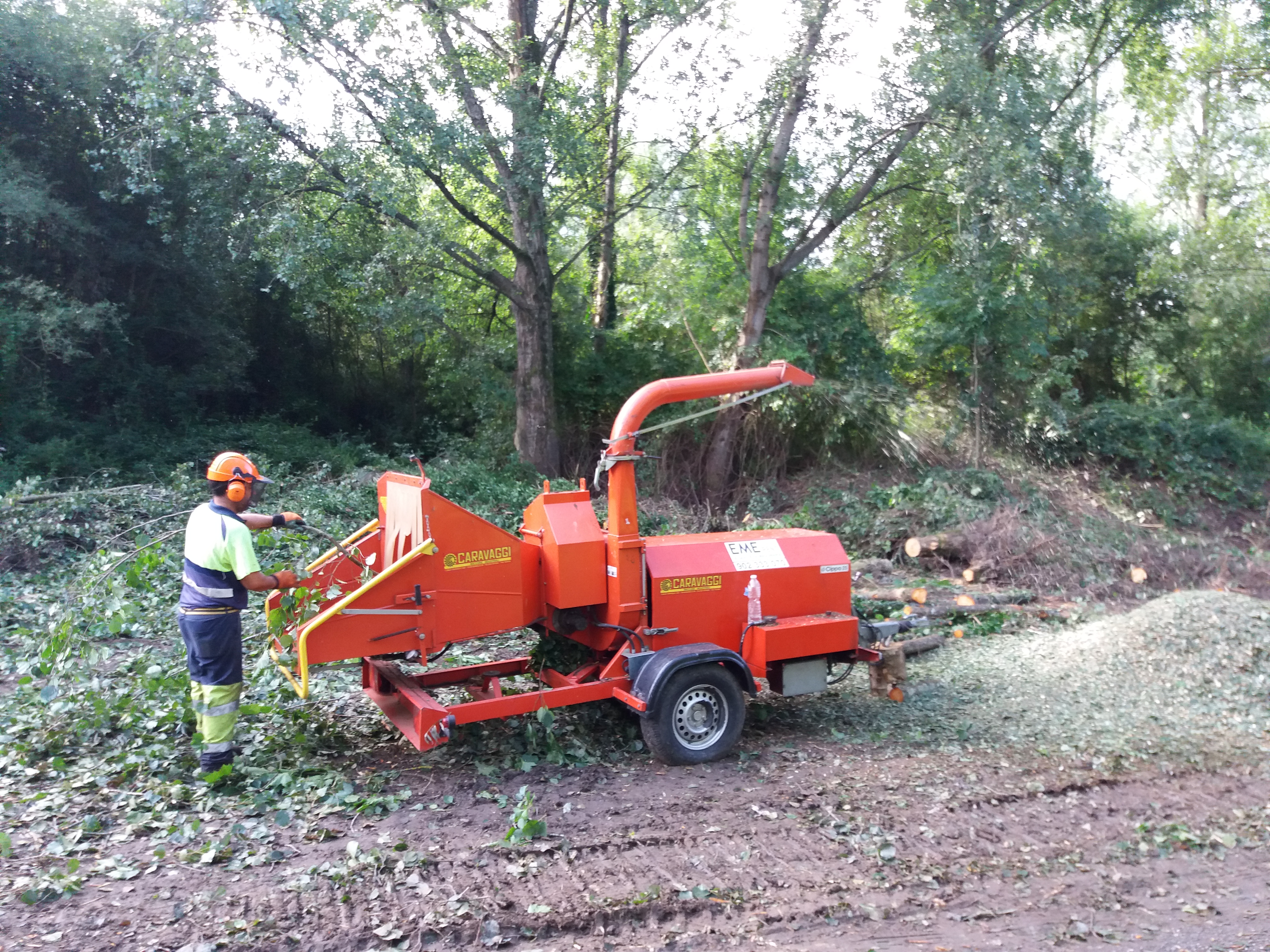 Small branches and shrubs were shredded with a wood chipper to create the plant substrate