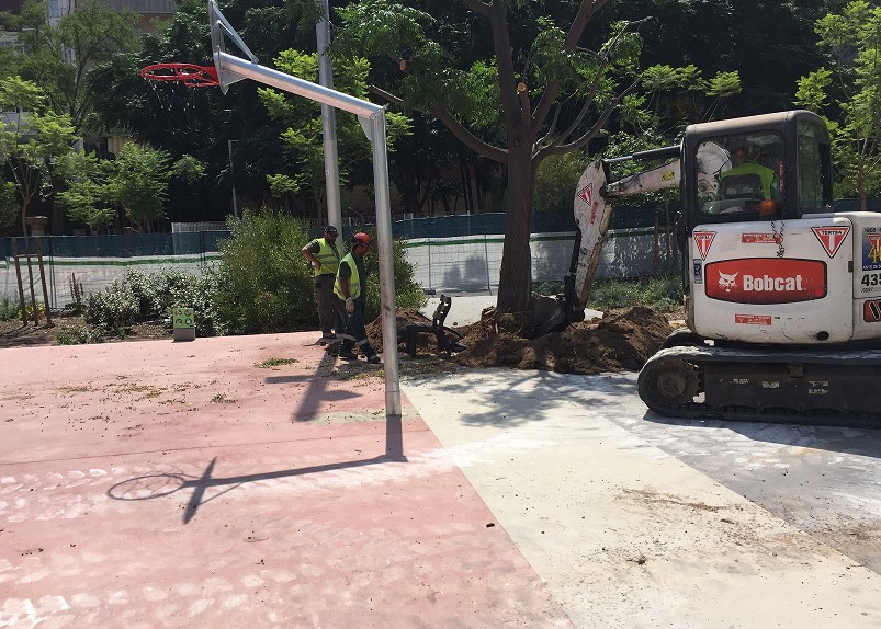 The trees at Jardines Emma were removed under the “dignified death” protocol and based on advice from the City Council’s Parks and Gardens Department