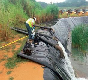 Sampling pool effluent.