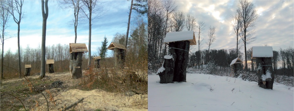 Constructed dens in which the larvae were placed at the end of the winter