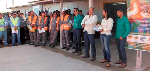 An awareness-raising talk to personnel on the site in relation to the protection of the loggerhead sea turtle.