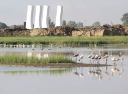 Drawbridges on Seville’s New Locks Pass Tests AOK