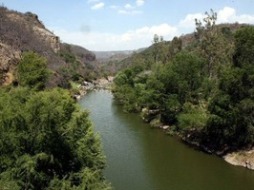 FCC construirá una presa en Jalisco (México) con un presupuesto de 128 millones de euros