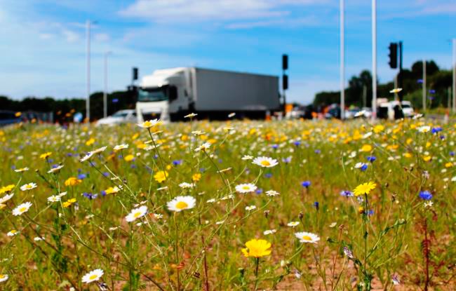 Merseylink Environmental Team boosts biodiversity in Halton